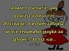 Awatar użytkownika